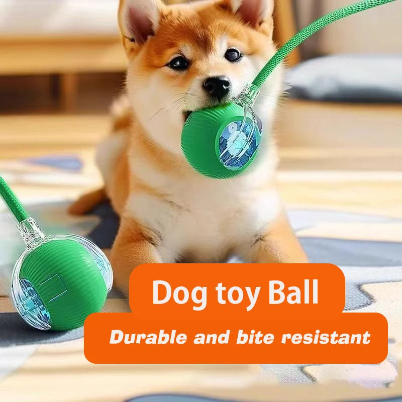 Smart Interactive Dog Ball – Automatic Rolling Rechargeable Toy for Active Dogs