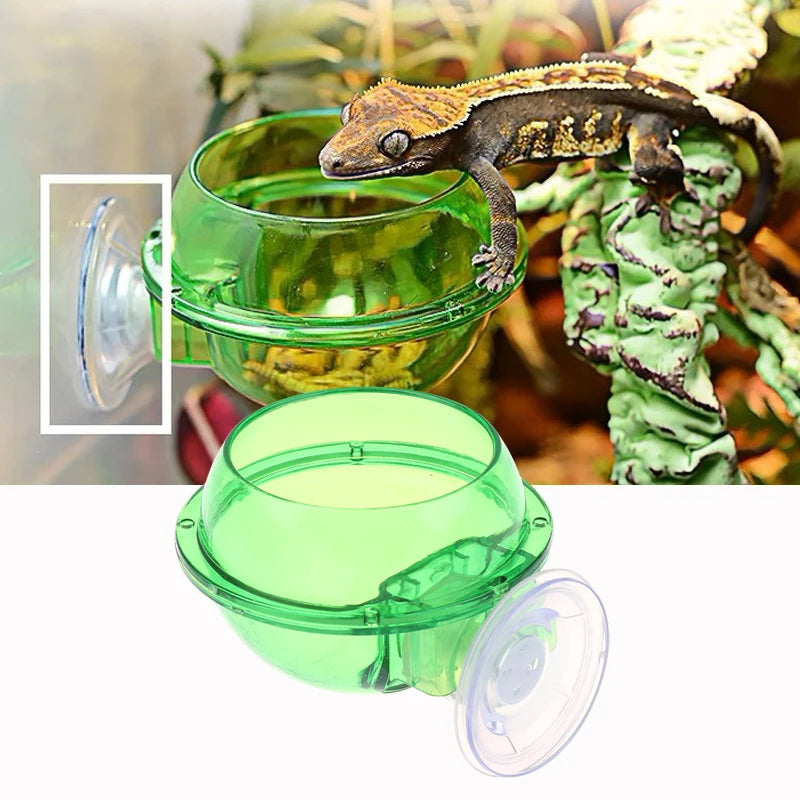 Arboreal Reptile Feeder Bowl – Anti-Escape Insect Feeding Cup