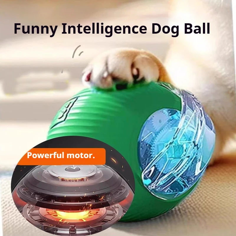Smart Interactive Dog Ball – Automatic Rolling Rechargeable Toy for Active Dogs