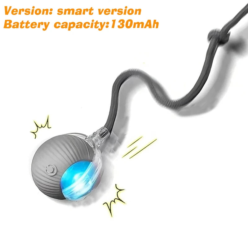 Smart Interactive Dog Ball – Automatic Rolling Rechargeable Toy for Active Dogs