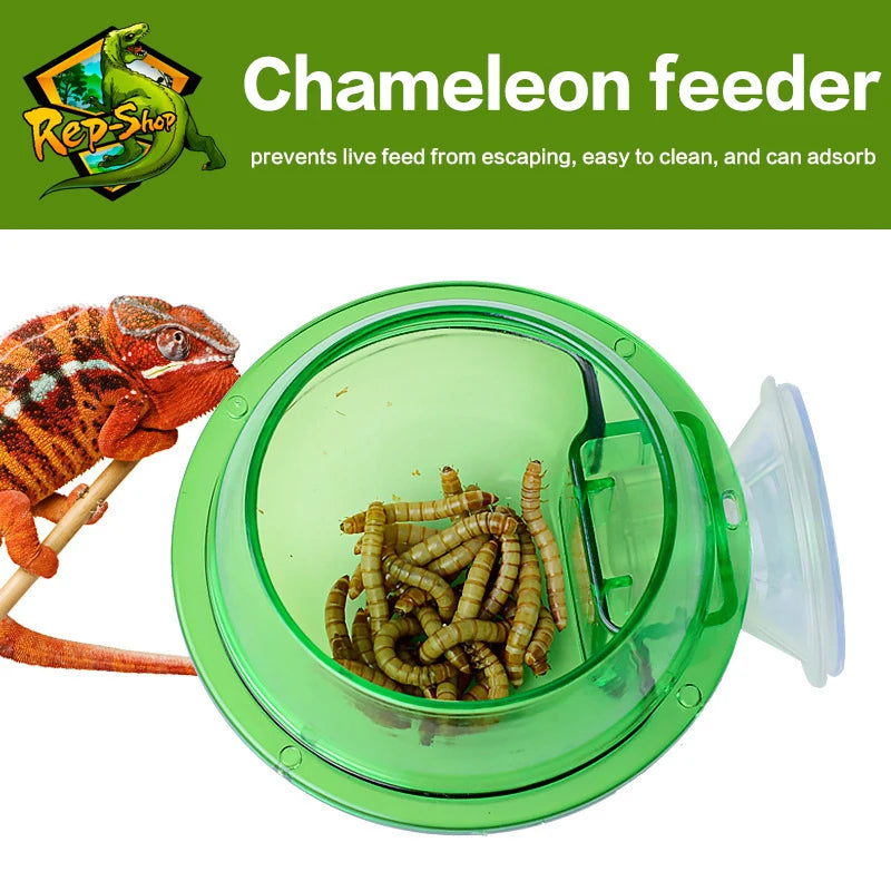 Arboreal Reptile Feeder Bowl – Anti-Escape Insect Feeding Cup