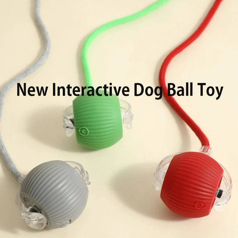 Smart Interactive Dog Ball – Automatic Rolling Rechargeable Toy for Active Dogs