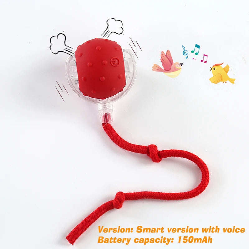 Smart Interactive Dog Ball – Automatic Rolling Rechargeable Toy for Active Dogs