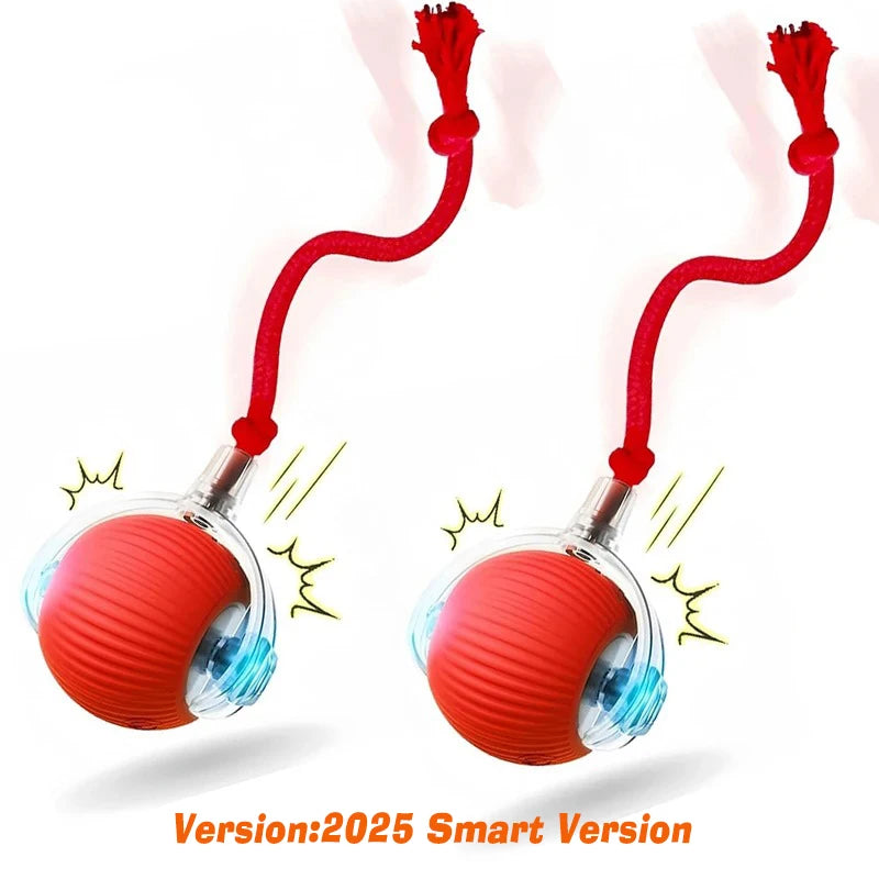 Smart Interactive Dog Ball – Automatic Rolling Rechargeable Toy for Active Dogs