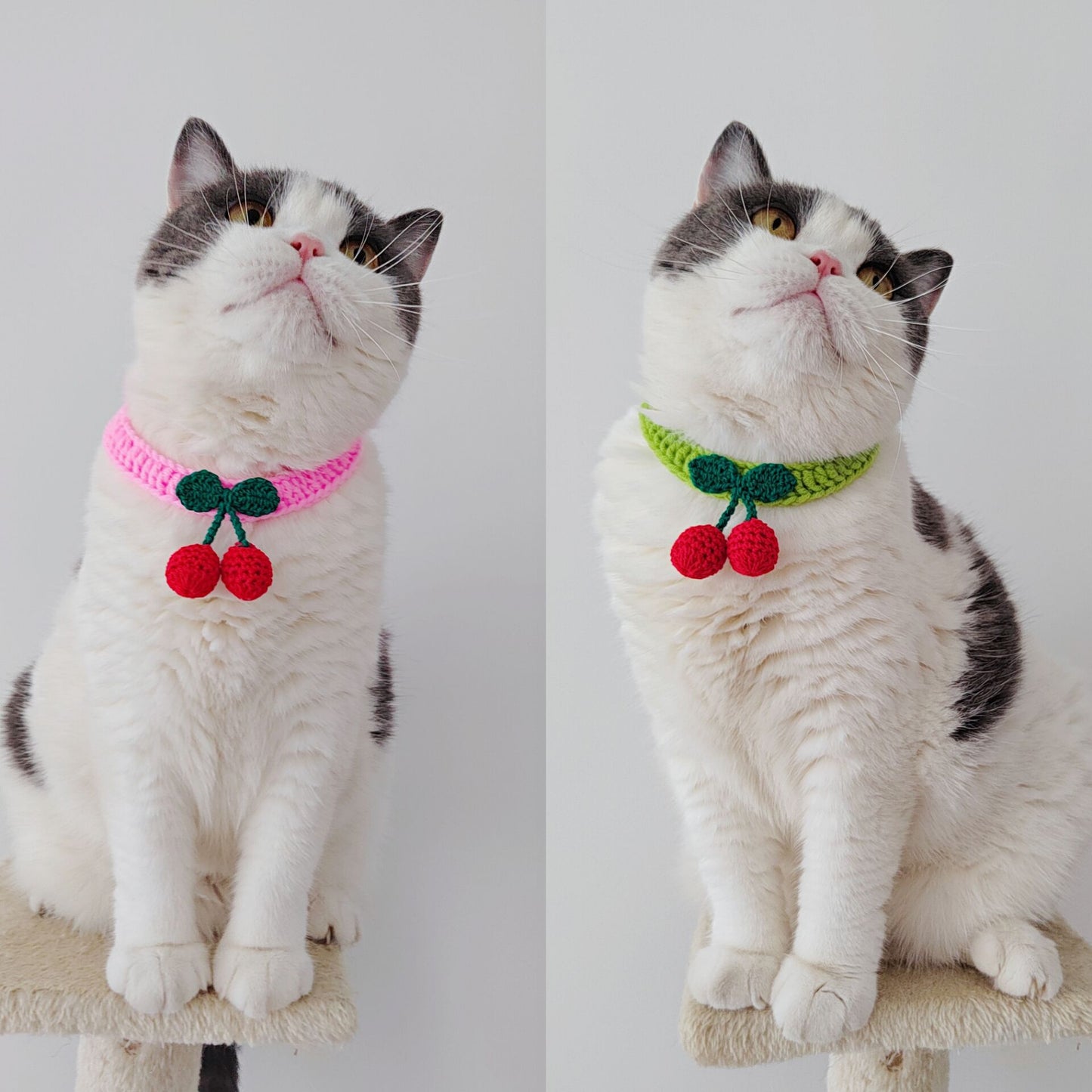 Handmade Knitted Cat Collar – Soft Wool Silent Pet Collar with Cozy Design
