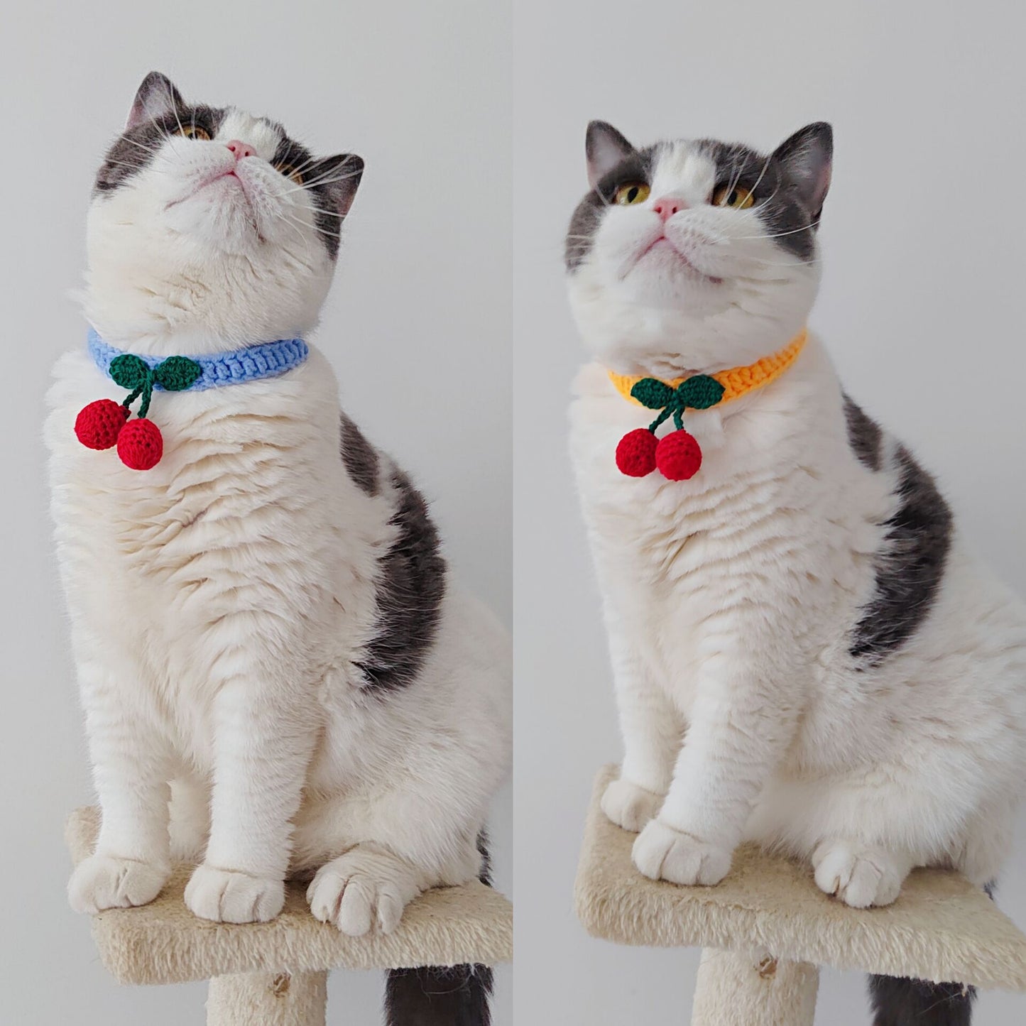 Handmade Knitted Cat Collar – Soft Wool Silent Pet Collar with Cozy Design